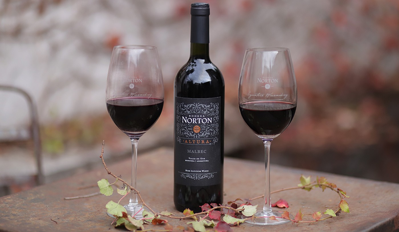 Malbec, Cabernet Sauvignon, Carménère e Syrah: as diferenças dos vinhos