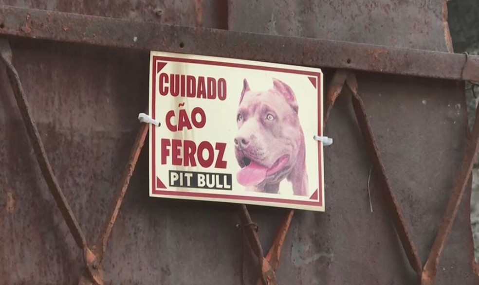 Cão pit monster foge e ataca 3 pessoas; PM usa arma de choque para