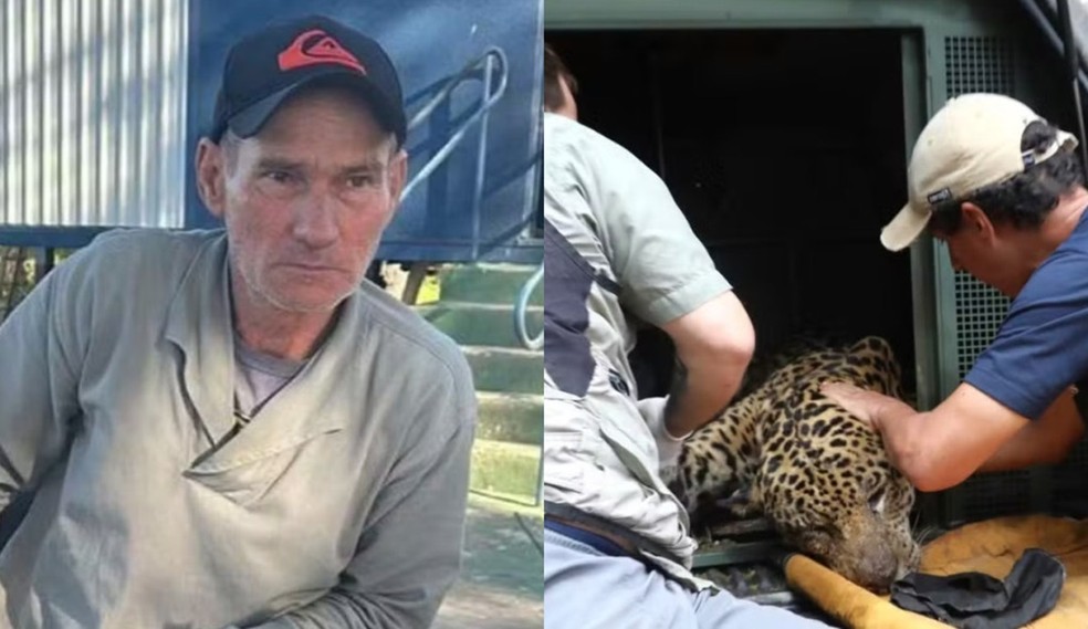 Jorge Avalo e a onça macho capturada, no Pantanal de MS — Foto: Reprodução