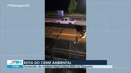 Tocantins registra alta de 86% nas apreensões de madeira ilegal e preocupa autoridades