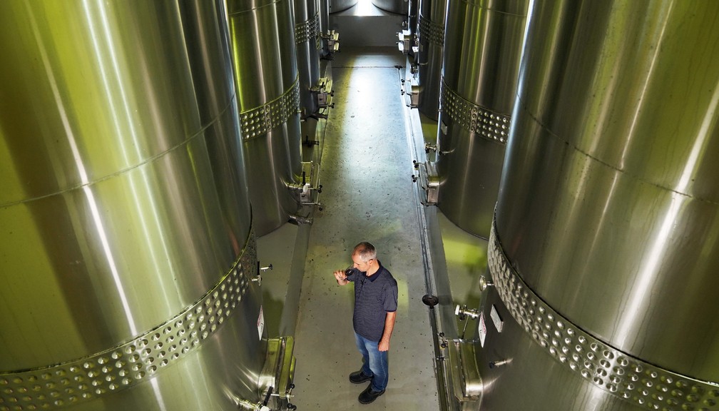Tonéis de fermentação do vinho tinto - fevereiro de 2023. — Foto: Marcos Serra Lima/g1