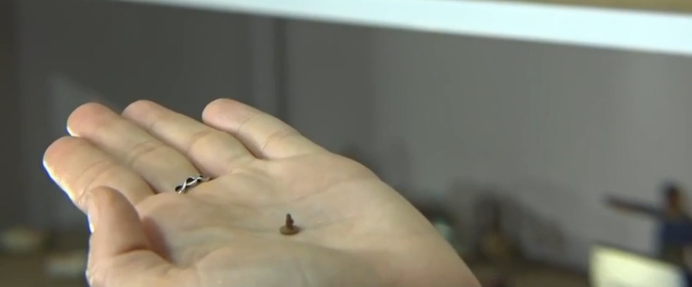 Miniaturas em cerâmica do tamanho de um grão de arroz. — Foto: Reprodução/ Tv Asa Branca Alagoas