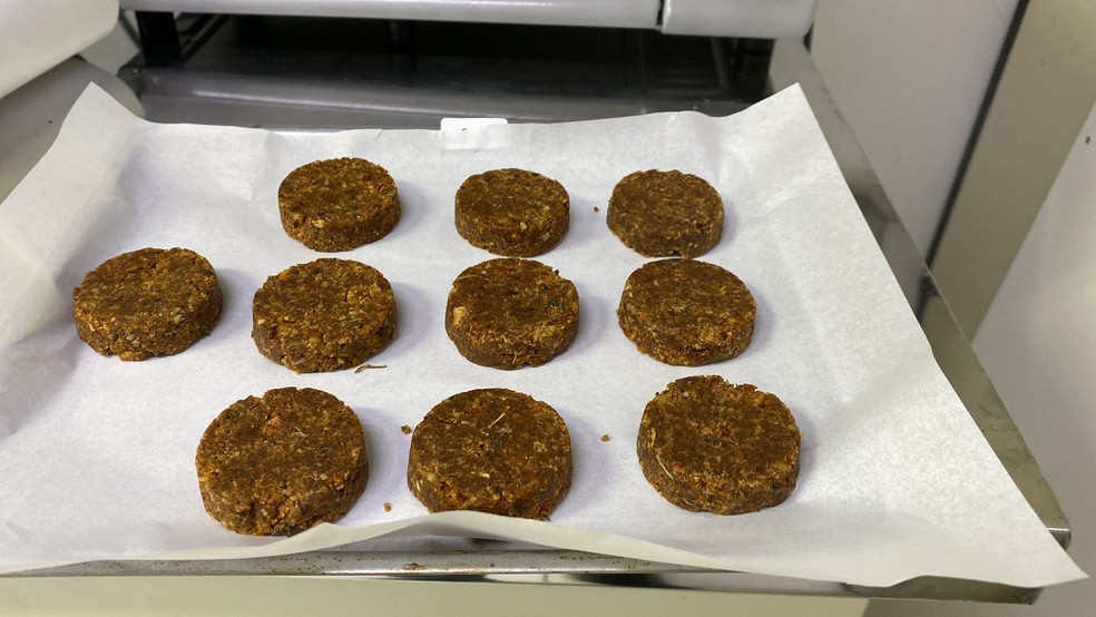Carne vegana foi obtida a partir do enriquecimento com tomate em p�, especiarias e uma matriz lip�dica composta por �leos de girassol, oliva e linha�a � Foto: Divulga��o