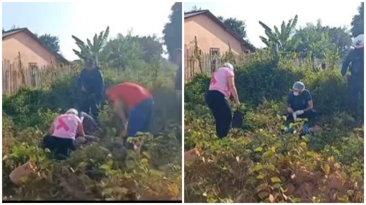 Homem é baleado pela PM após ameaçar ex-companheira com faca no município de Alenquer 