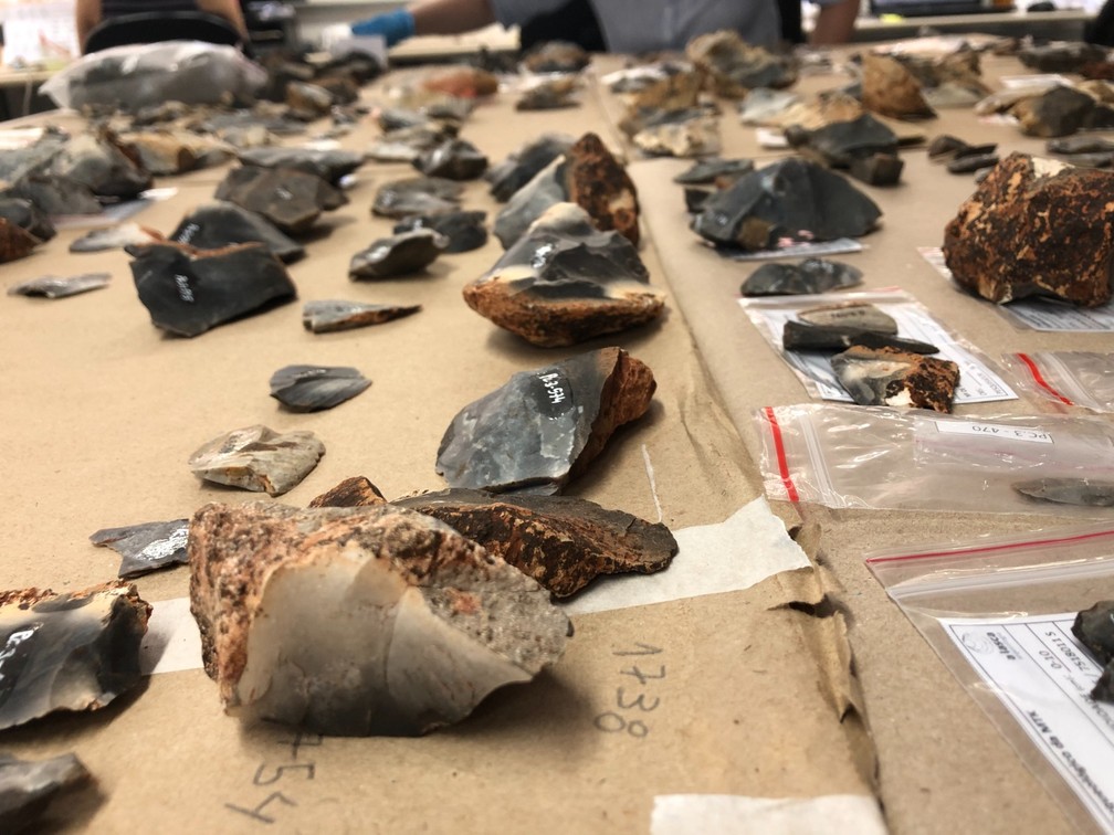 Parte dos itens encontrados em sítio arqueológico em Ipeúna — Foto: Camila Campos Olandim/A Lasca