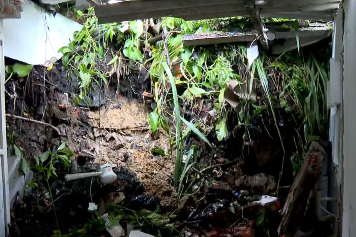 Cidades do litoral e interior de SP estão em estado de atenção para risco de deslizamentos