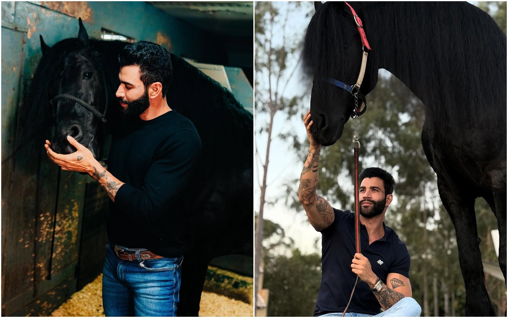 Cantor, empresário, dono de haras e time de futebol: Gusttavo Lima diversifica negócios 