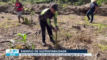 Iniciativas no Pará incentivam sustentabilidade recuperando áreas improdutivas