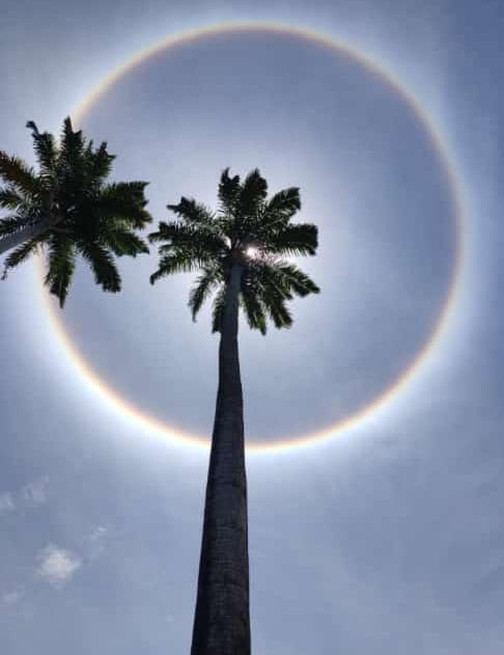 Halo solar: Fenômeno forma 'arco-íris' em torno do sol em PE