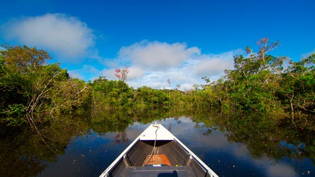 Áreas mais importantes para a biodiversidade da Amazônia são as que recebem menos investimento em gestão