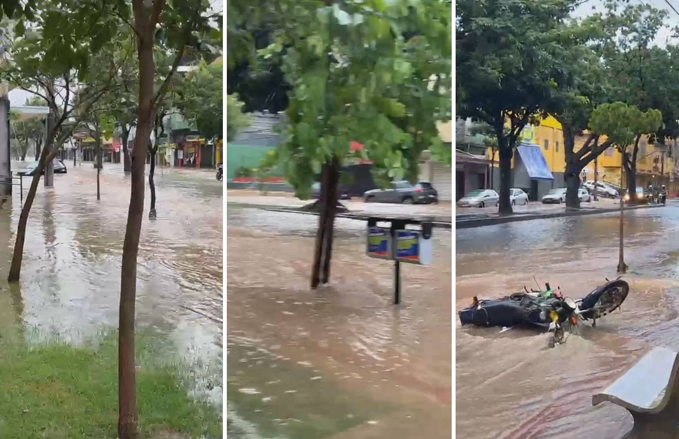 Forte chuva em BH deixa ruas alagadas e derruba árvores e poste