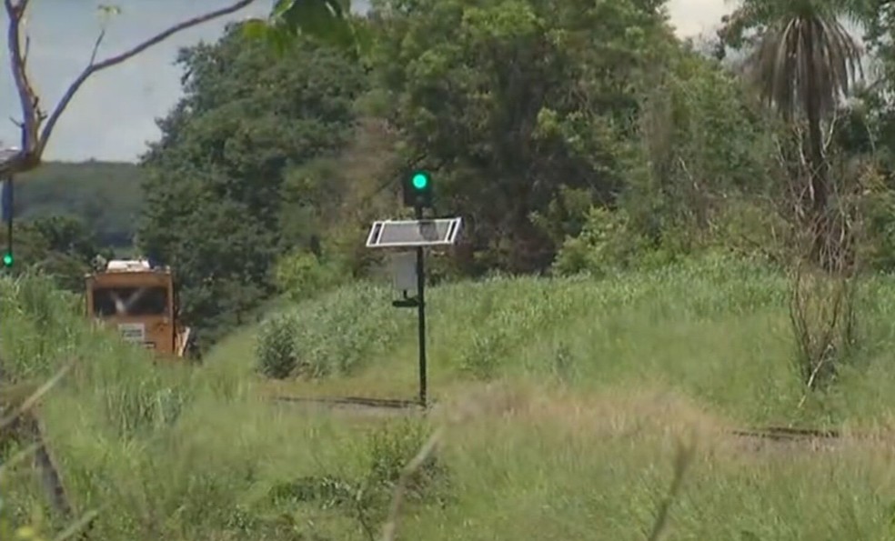 Via férrea no distrito de Engenheiro Schmitt, em Rio Preto, tem grande quantidade de mato — Foto: Reprodução/TV TEM