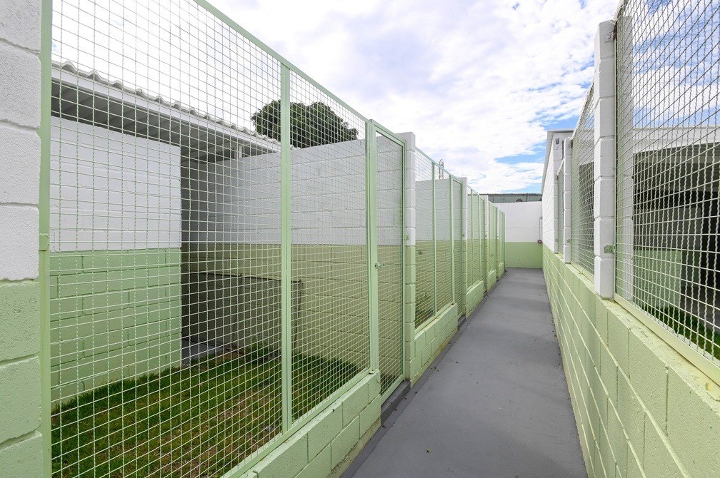 Após vistoria expor condição precária, Campinas conclui primeira fase da reforma do Departamento de Proteção Animal