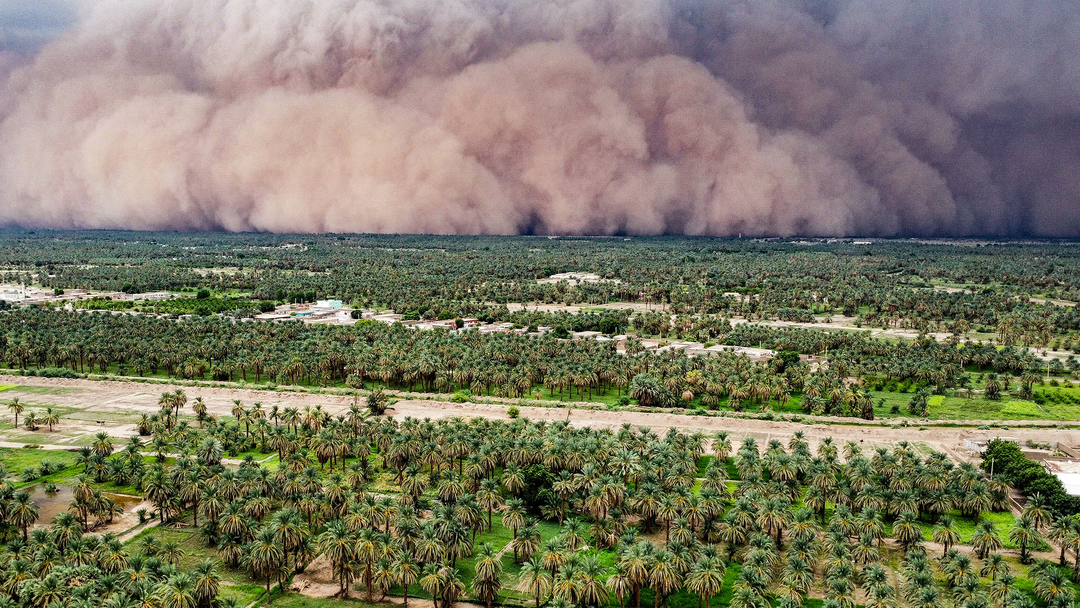 Tempestade de areia engole palmeirais e cria cena impressionante no Sudão