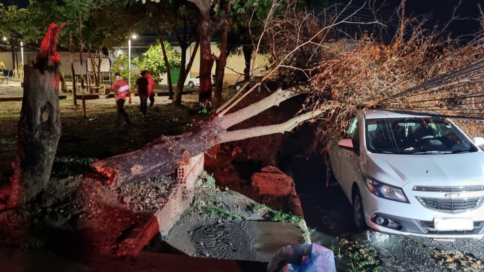 Árvore cai sobre carro durante forte chuva em Teresina