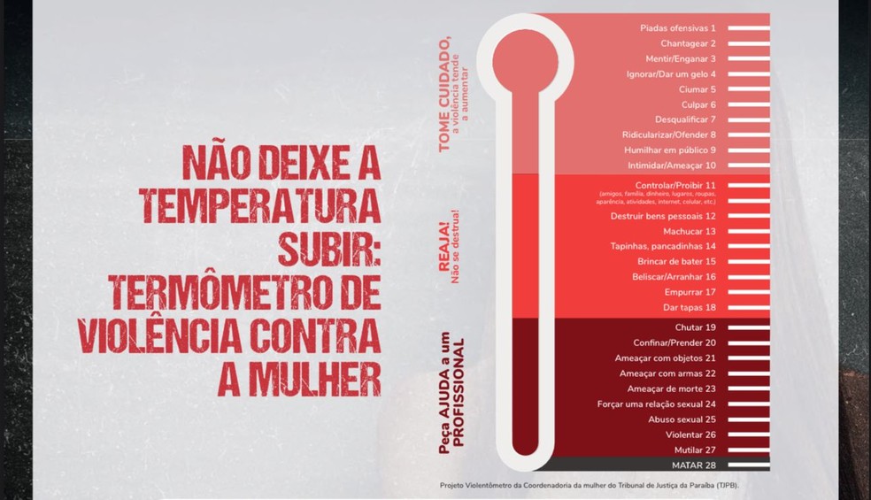 Projeto Violentômetro da Coordenadoria da mulher do Tribunal de Justiça da Paraíba (TJPB). — Foto: Reprodução