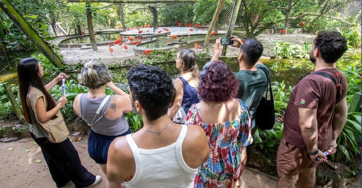 Parque Zoobotânico do Museu Goeldi faz 131 anos com trilhas gratuitas em Belém