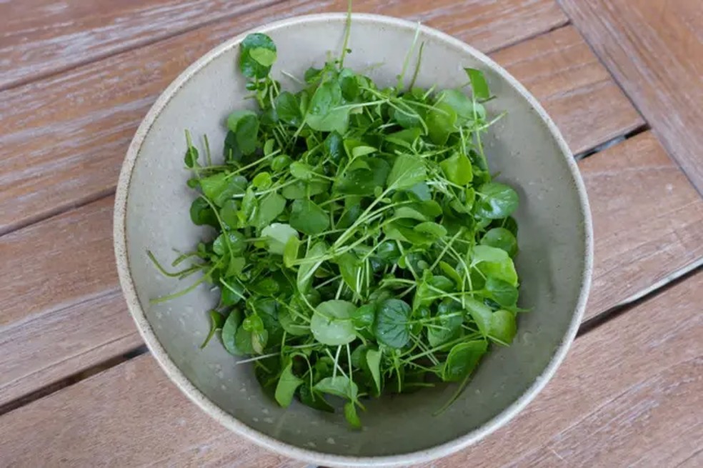 O agrião preserva as funções imunológicas e pode ajudar a reduzir inflamações, entre outros benefícios. — Foto: GETTY IMAGES via BBC