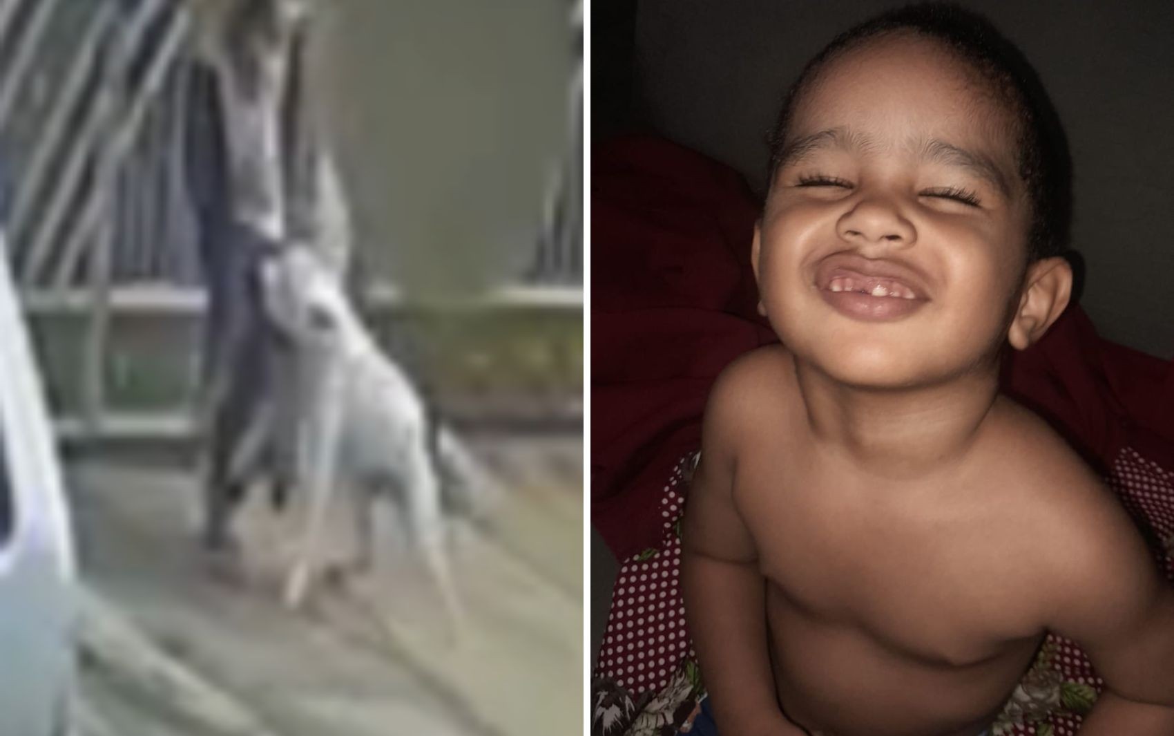 Pit bull ataca criança de 2 anos na frente da casa da avó, em Goiânia; vídeo