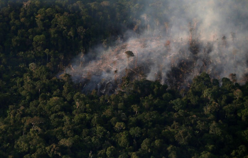 Fumaça de queimadas impede pouso de voo em Itaituba, no Pará