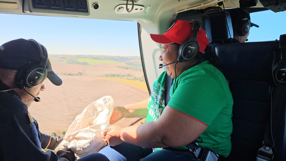 Cerca de 24 milhões de sementes de árvores são lançadas de cima de helicópteros no Paraná — Foto: Ednubia Ghisi