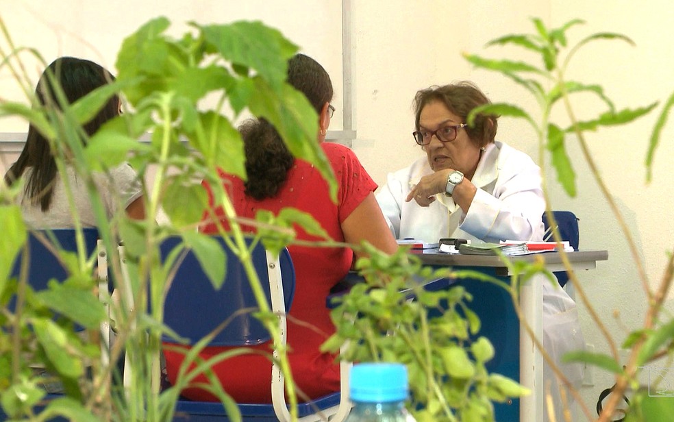 Terezinha Rêgo era apaixonada pela área da farmácia com uso de plantas e atendia muitas pessoas na UFMA — Foto: Reprodução/TV Mirante