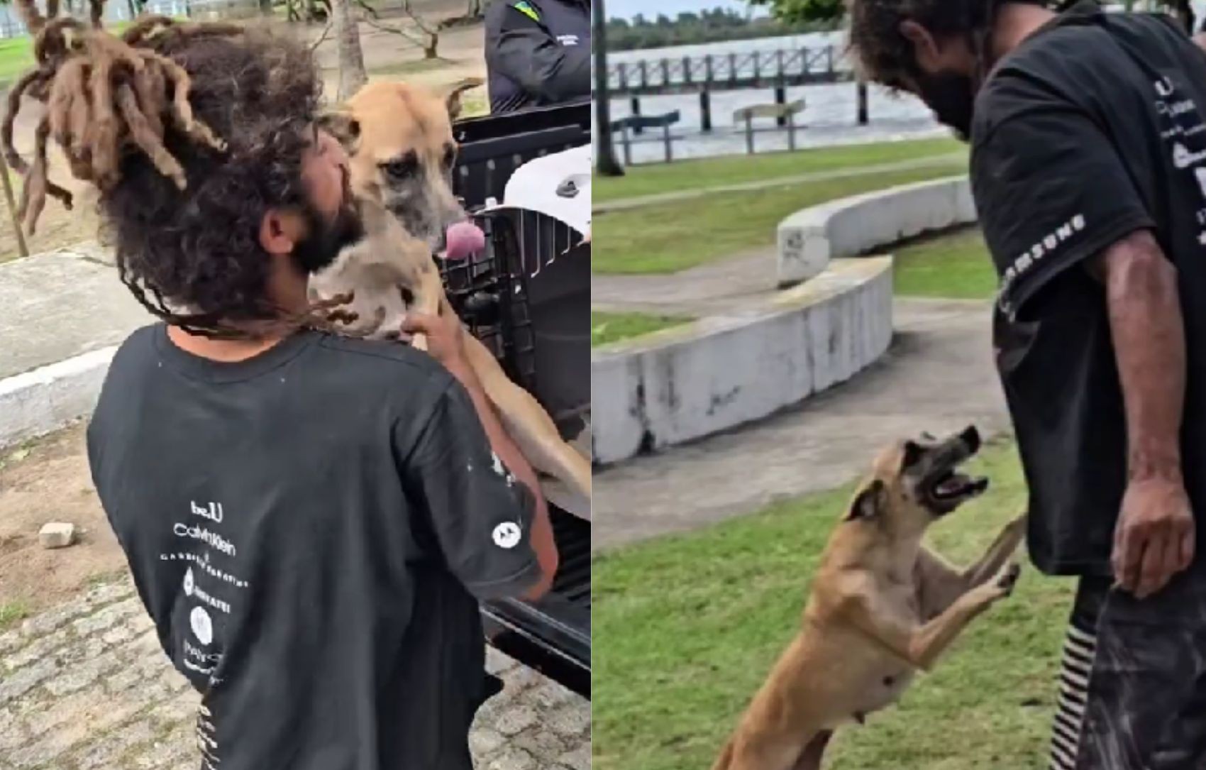 VÍDEO: cadela caramelo devolvida a tutor em situação de rua protagoniza reencontro emocionante em SE