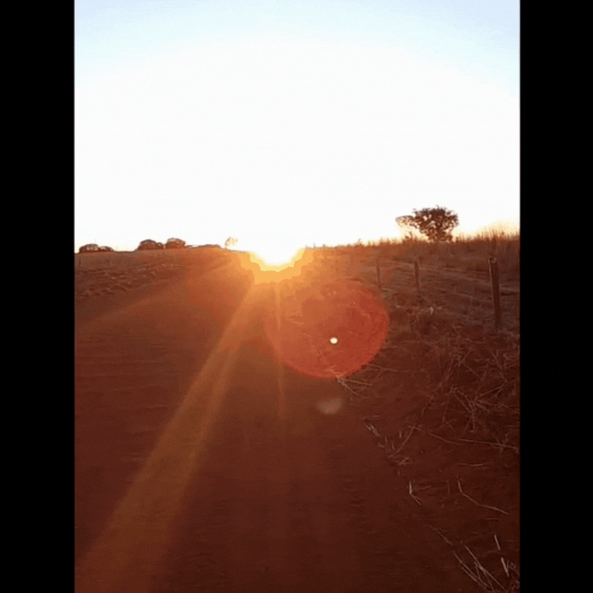 Luz do sol ofusca visão de motorista e provoca acidente com motociclista que admirava amanhecer em estrada rural