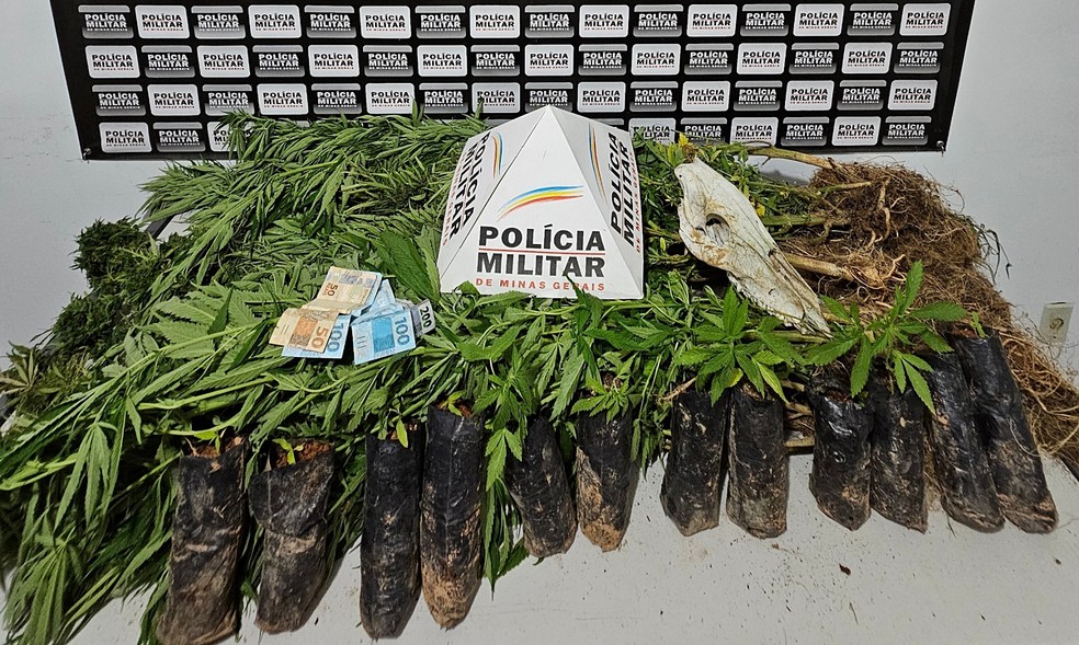 Foto: Polícia Militar