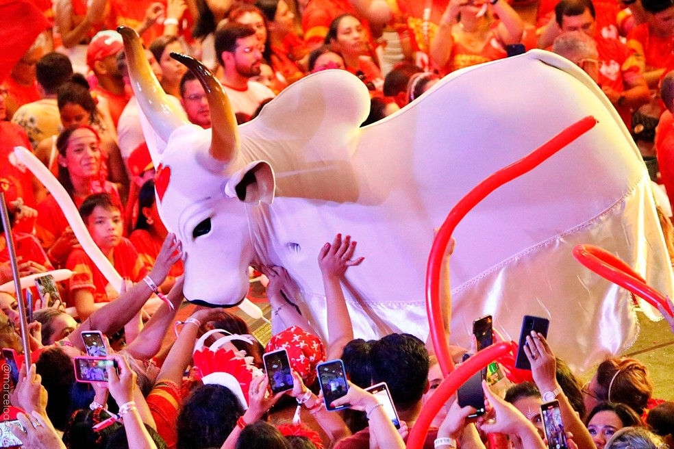 Curralzinho do Garantido — Foto: Divulgação