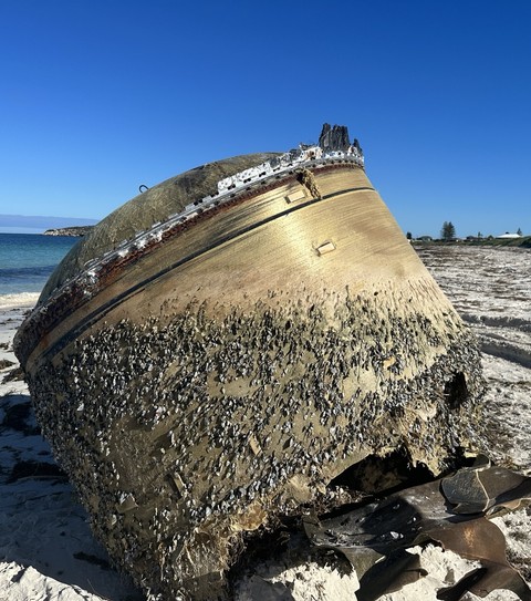 Cientistas filmam o peixe mais profundo de todos os tempos no fundo do mar  no Japão