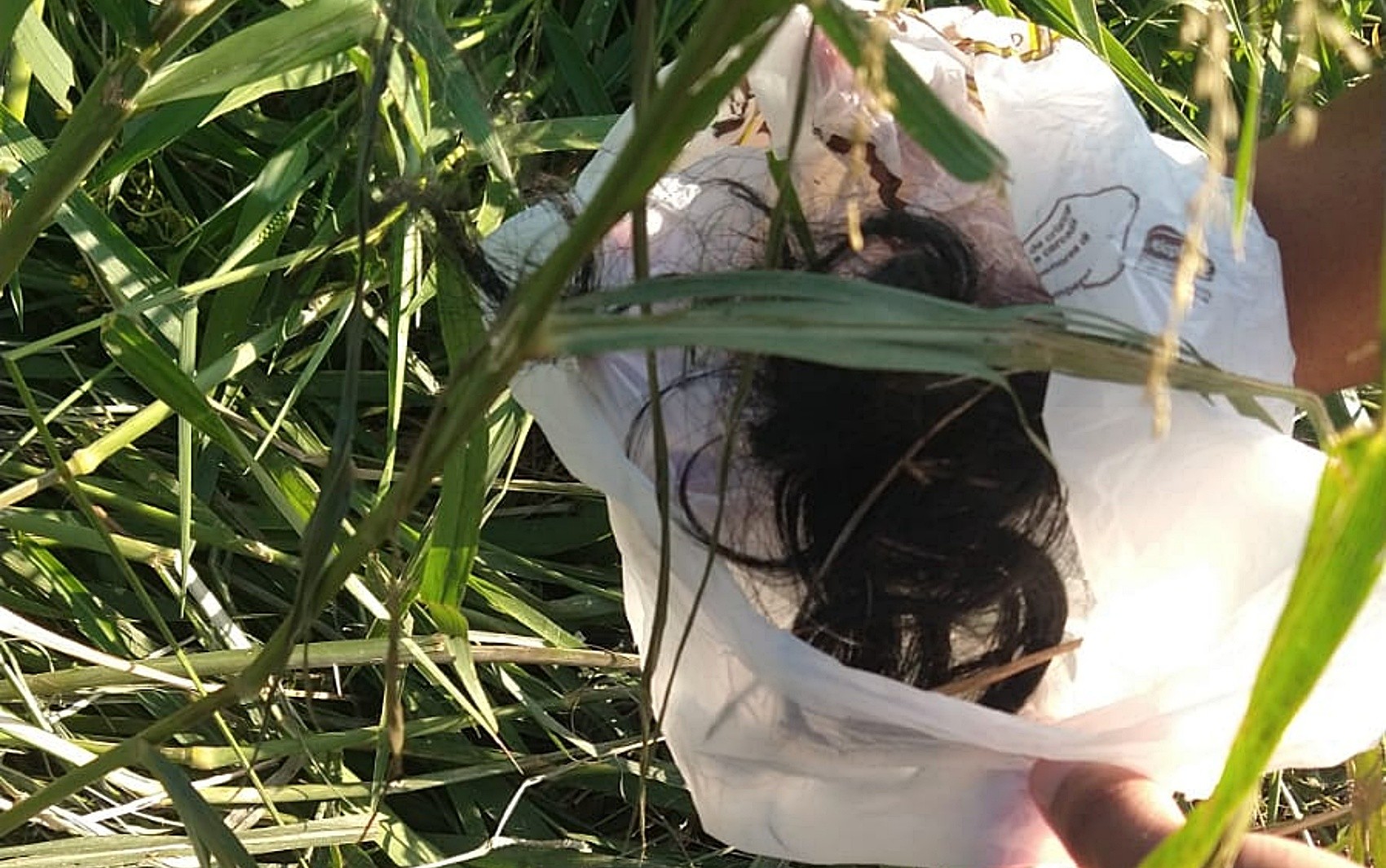 Moradores encontram tufo de cabelo durante buscas por adolescente em Lavras; namorado confessou assassinato