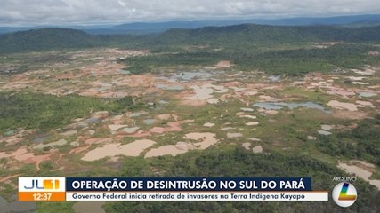 Governo federal inicia retirada de invasores na Terra Indígena Kayapó