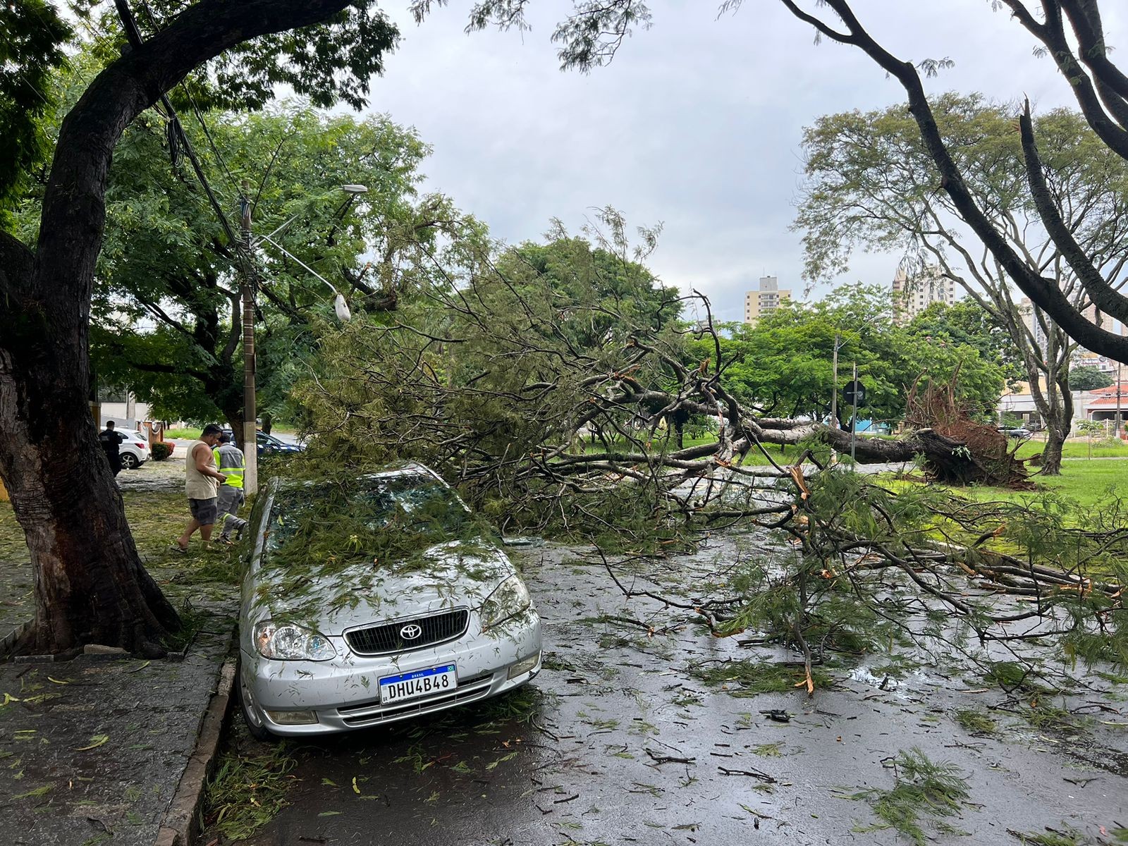 VÍDEO: Campinas registra chuva de granizo e queda de árvores; bosque é fechado após quedas de galhos