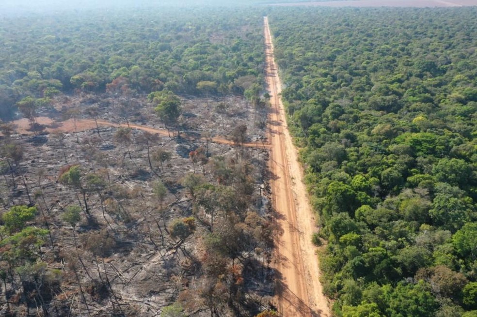 Mato Grosso desmatou 63 km² no primeiro bimestre deste ano — Foto: Polícia Civil