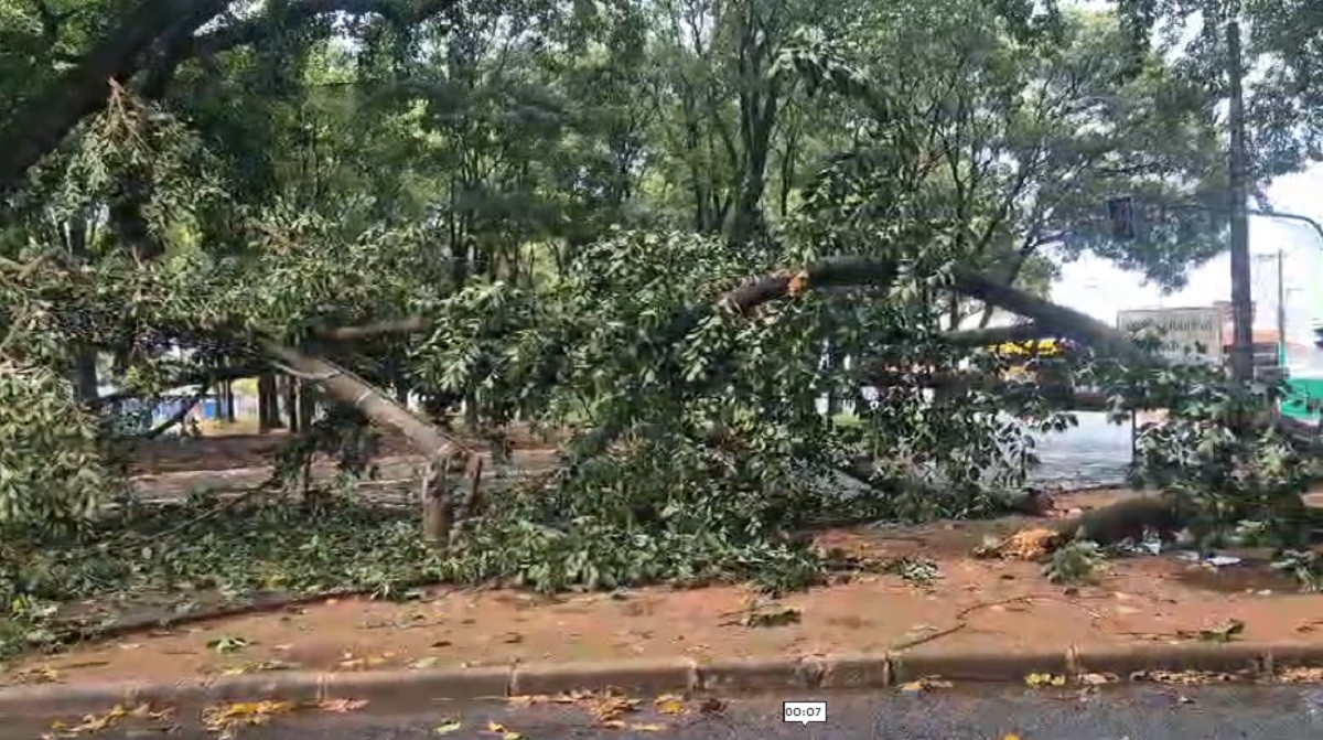 Uberlândia tem temporal com vento de 80km/h, granizo e quase 60 milímetros de chuva; VÍDEO