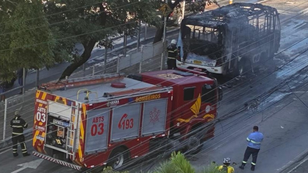 Bombeiros foram acionados e apagaram o fogo no veículo. — Foto: Reprodução