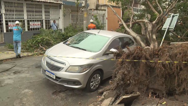 Na rua Visconde de Abaeté, em Vila Isabel, árvore caiu em cima de carro que estava estacionado — Foto: Reprodução/TV Globo