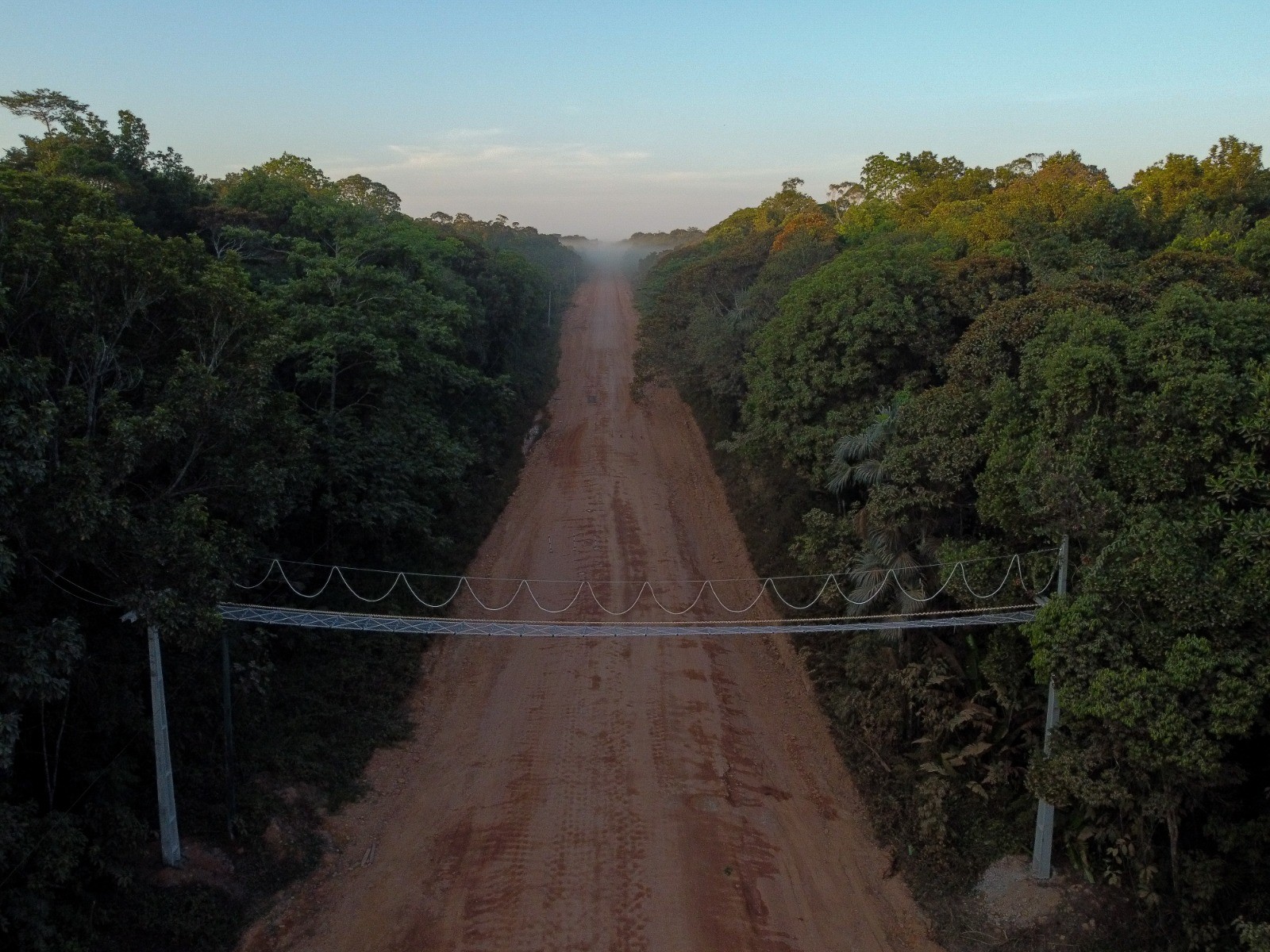 Autoridades e especialistas repercutem decisão que suspendeu licitações para obras na BR-319