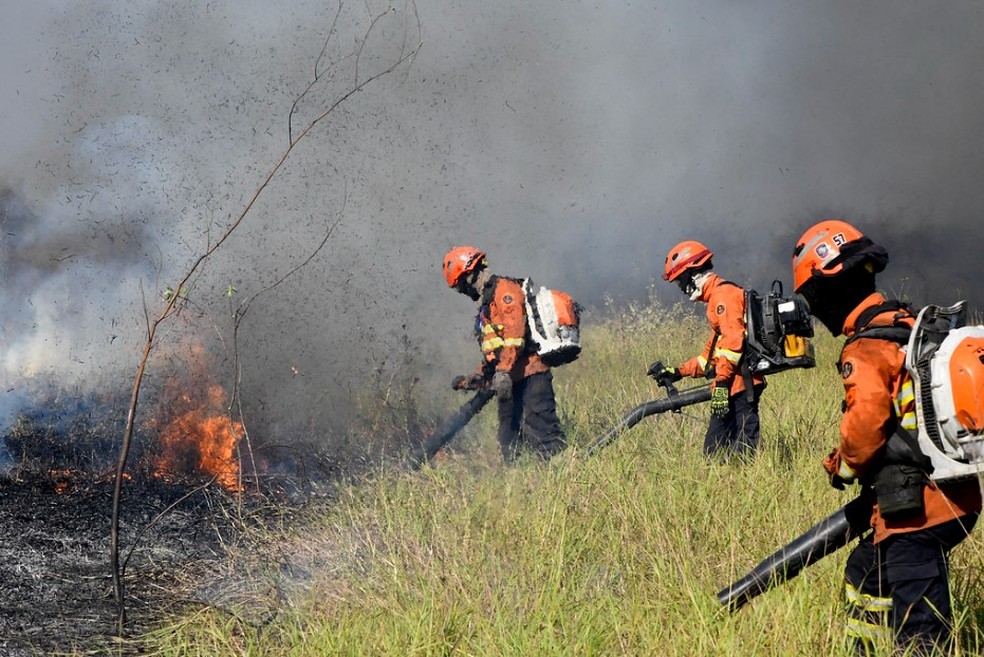 Bombeiros tentando controlar fogo no Pantanal. — Foto: Bruno Rezende