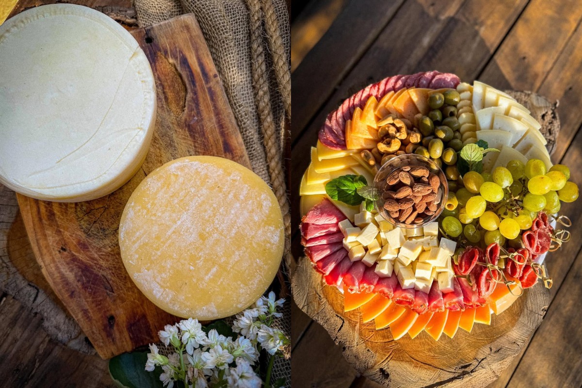 Queijo ganha destaque no oeste paulista com qualificação técnica e rota turística