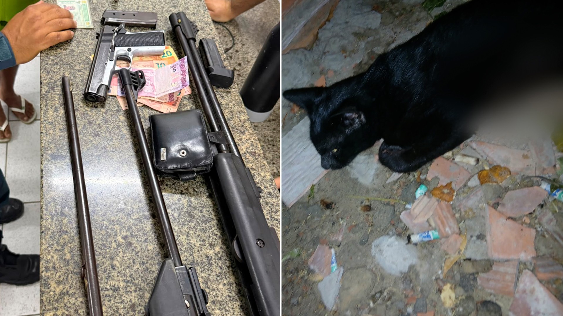 Suspeito de matar gato a tiros é preso com armas e munições em Parnaíba