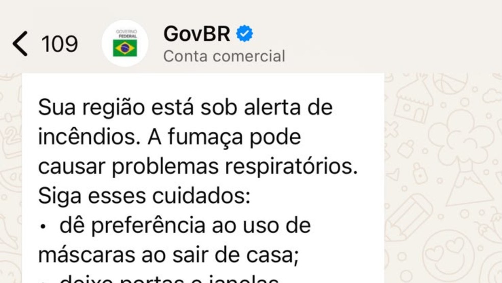 Governo Federal dispara alerta no WhatsApp sobre incêndios no Amazonas — Foto: Divulgação