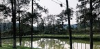 Fazenda que foi de Pelé está à venda em Juquiá (SP) — Foto: Casa Morumbi Imóveis