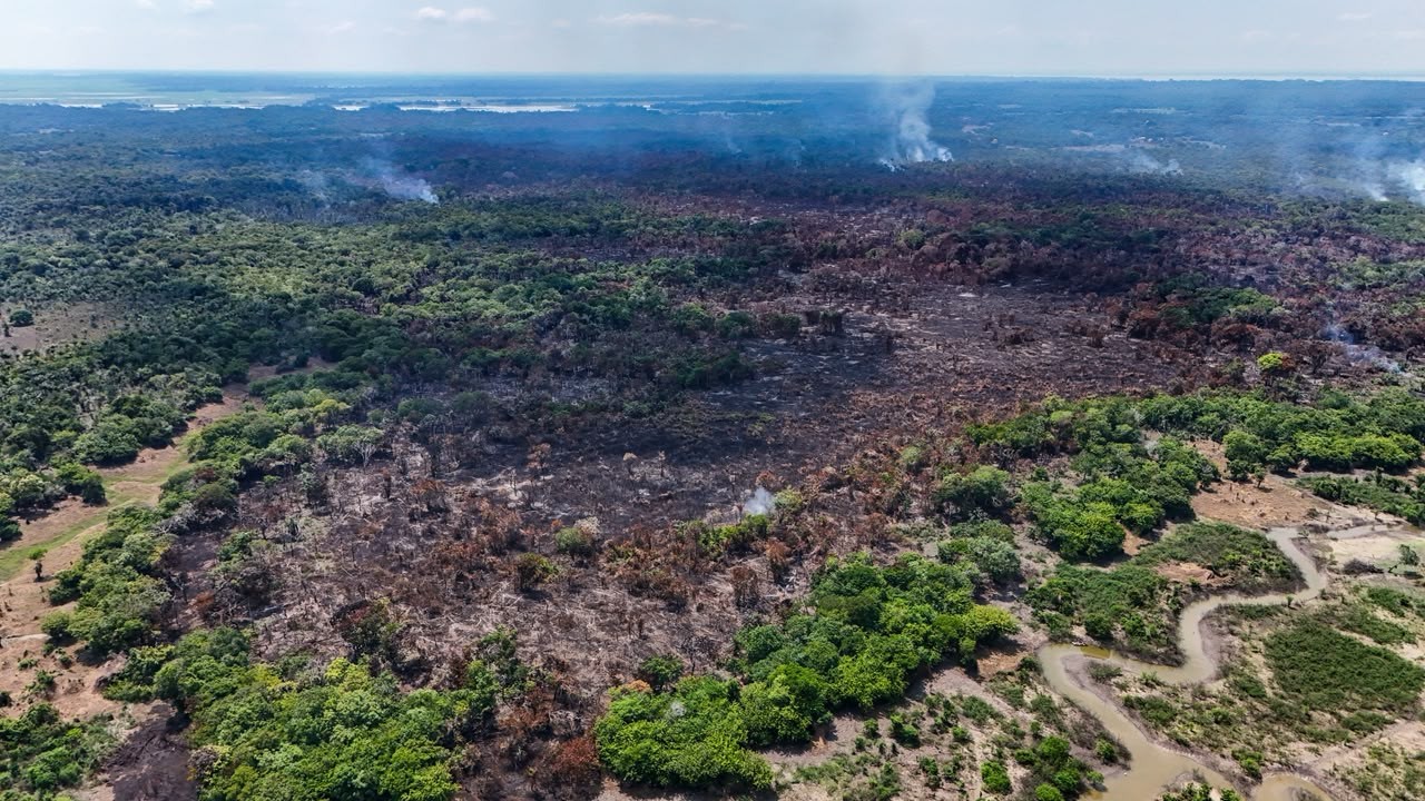 Fogo continua avançando no interior do AM e já atinge área equivalente a mais de mil campos de futebol; bombeiros iniciam combate