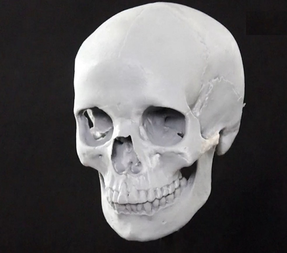 Imagem Oscar Nilsson - Project Pien