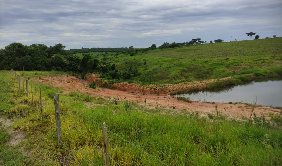 Fazendeiro é multado em R$ 8 mil por degradar Área de Preservação Permanente (APP), em Martinópolis (SP) — Foto: Polícia Militar Ambiental