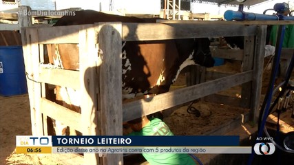 Torneio leiteiro da Agrotins 2024 conta com cinco competidores