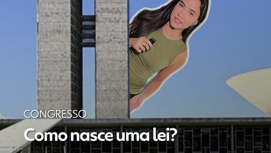 VÍDEO: Como nascem as leis e qual o caminho para aprovação no Congresso?