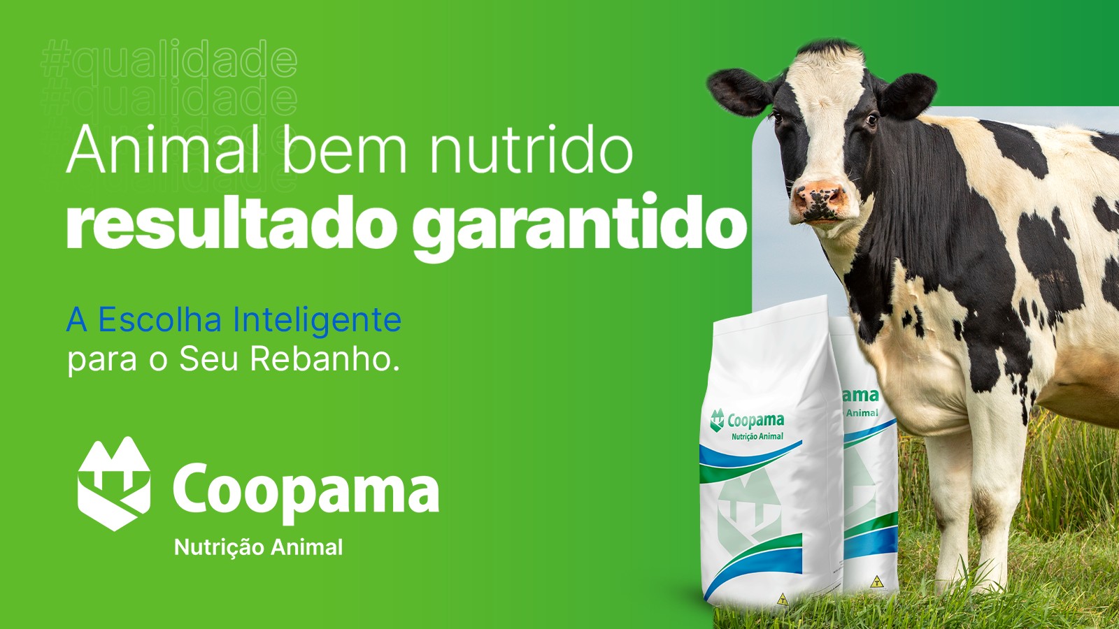 Nutrição Animal Coopama: soluções completas para a pecuária
